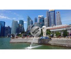 SINGAPORE Visit Visa  6000/=