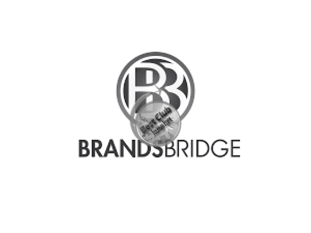 সিঙ্গাপুর Brandbridge Pte Ltd  কোম্পানী জেনারেল লেভার আবশ্যক।